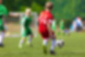 iStock-1466393458.jpg