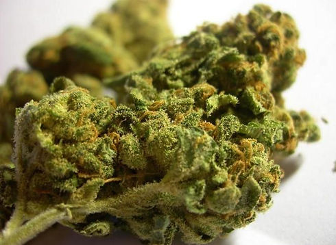 WhatsApp Image 2021-07-04 at 16.39.26.jpeg