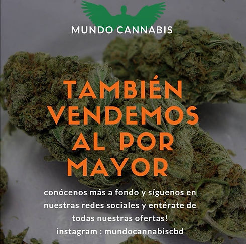 WhatsApp Image 2021-07-04 at 13.52.55.jpeg