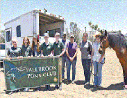 Common Ground Clinic and Horse Sense 101 a Success for 2017