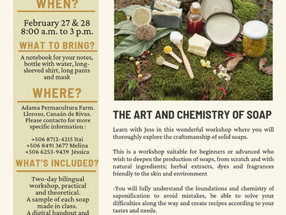 The Art and Chemistry of Soap