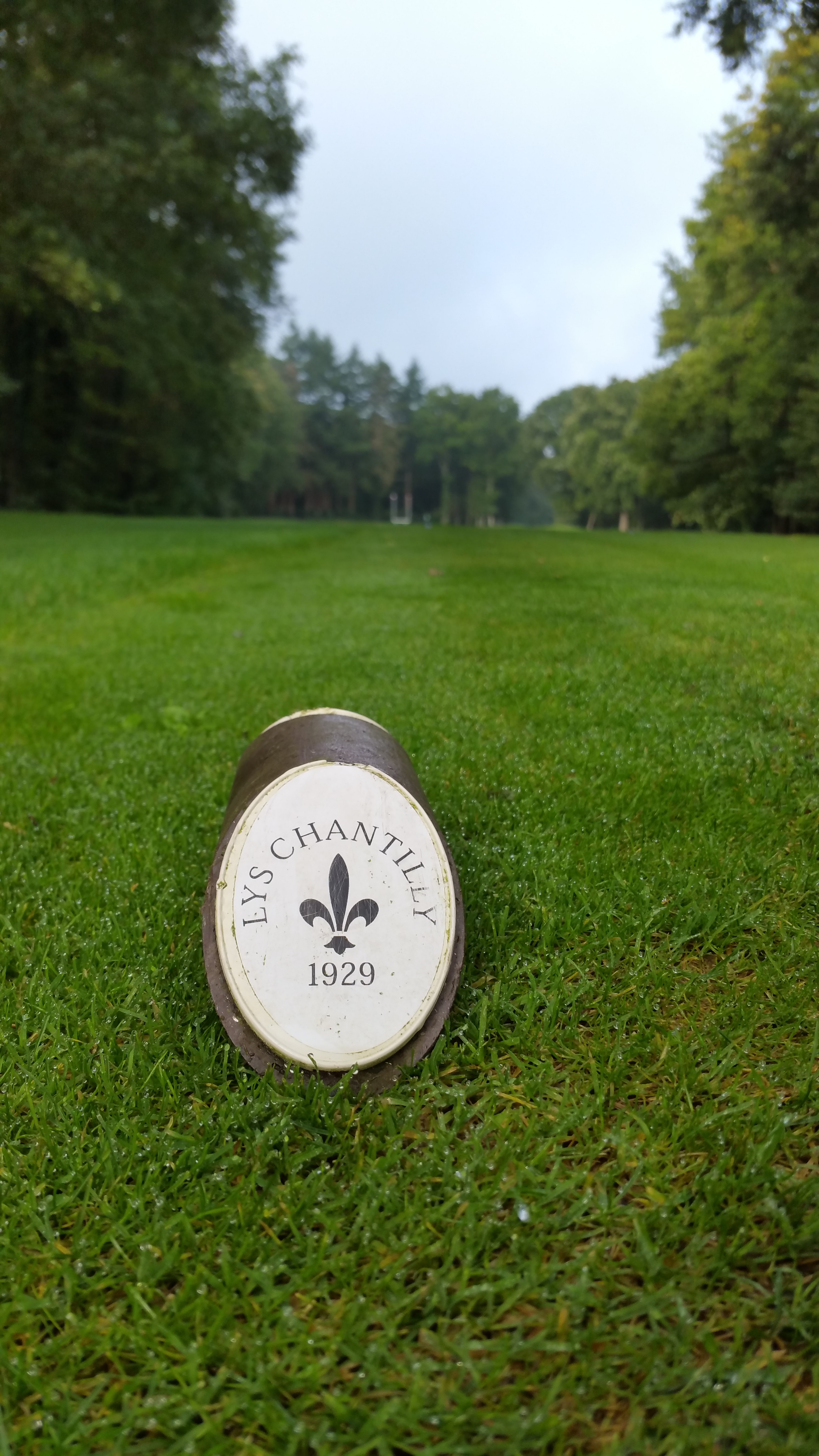 Média Tee Cup Chantilly