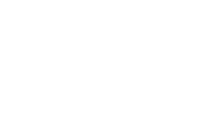 FINALIST-EastersealsDisabilityFilmChallenge-2025.png