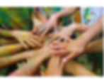 accountibility group.jpeg