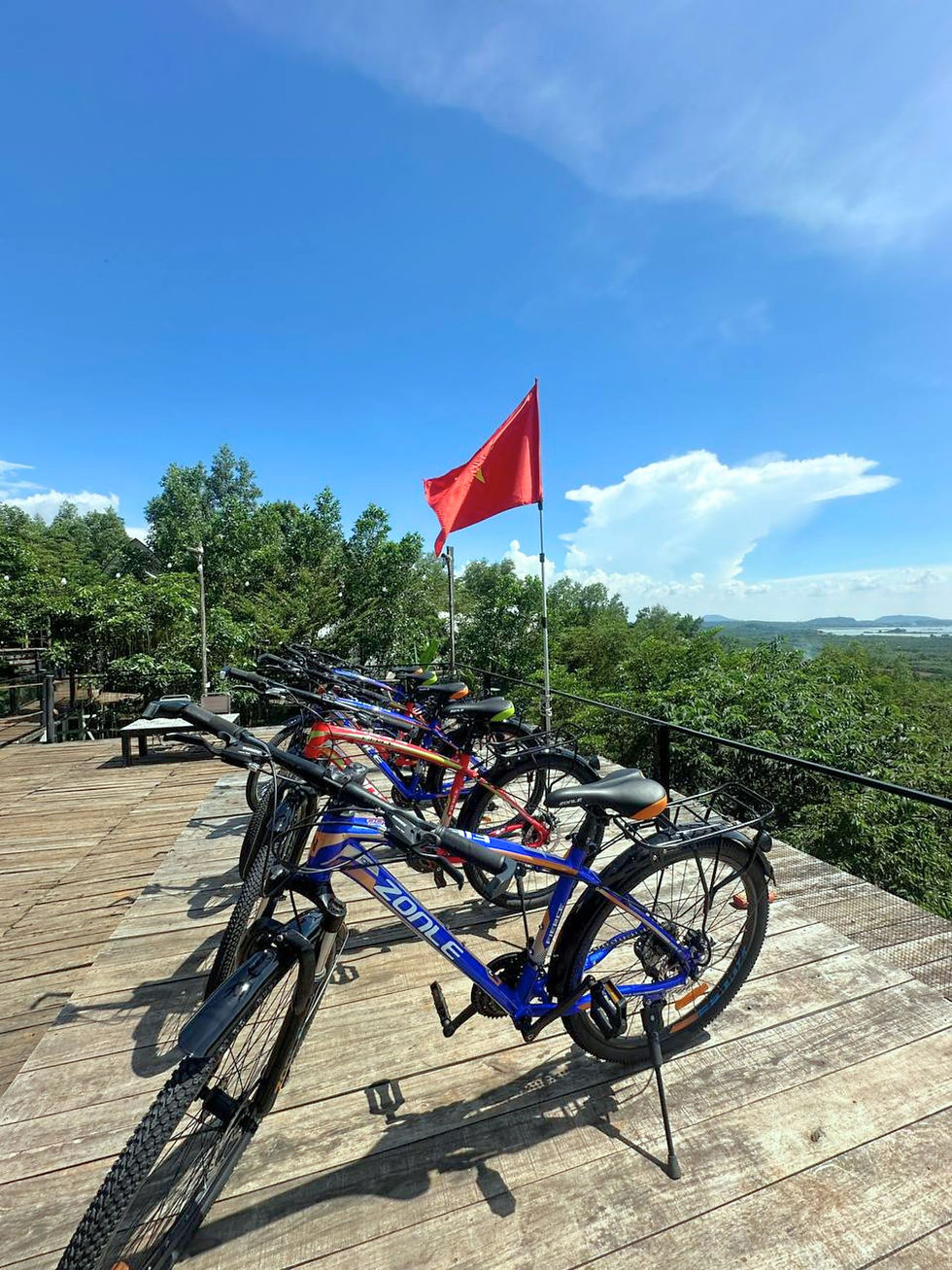 Xe đạp tại Panorama Glamping – khởi đầu hành trình đạp xe dưới rừng điều xanh mát, trải nghiệm ‘detox’ tâm trí và tận hưởng không gian glamping gần Sài Gòn.