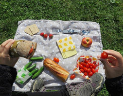 Picnic sostenible.jpg