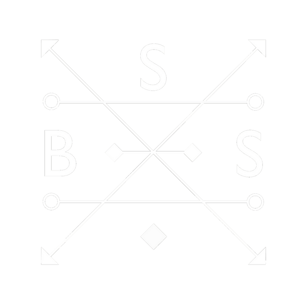 BSS_logo_transparent.png
