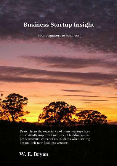 sunset + bus start insight new font v1 serif.jpg