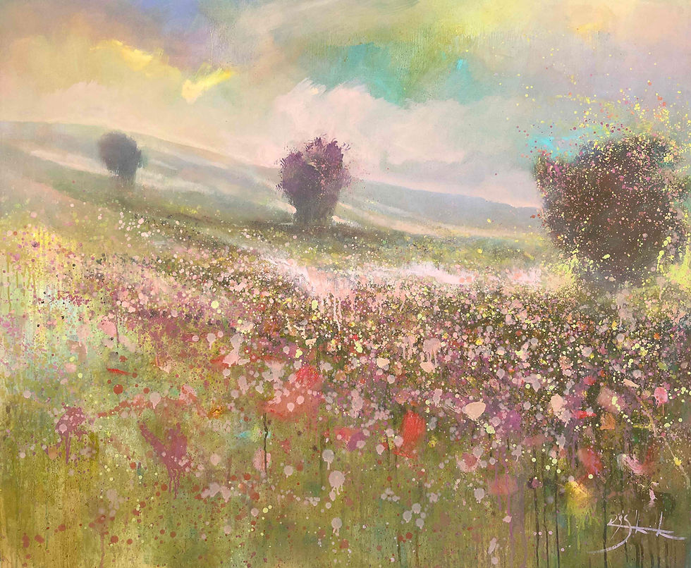 MOUNTAIN LIGHT 12