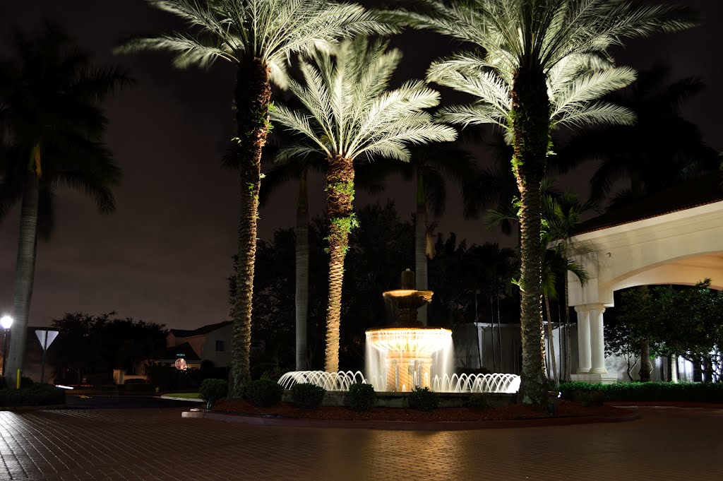 Walnut Creek RE1 pembrokepines