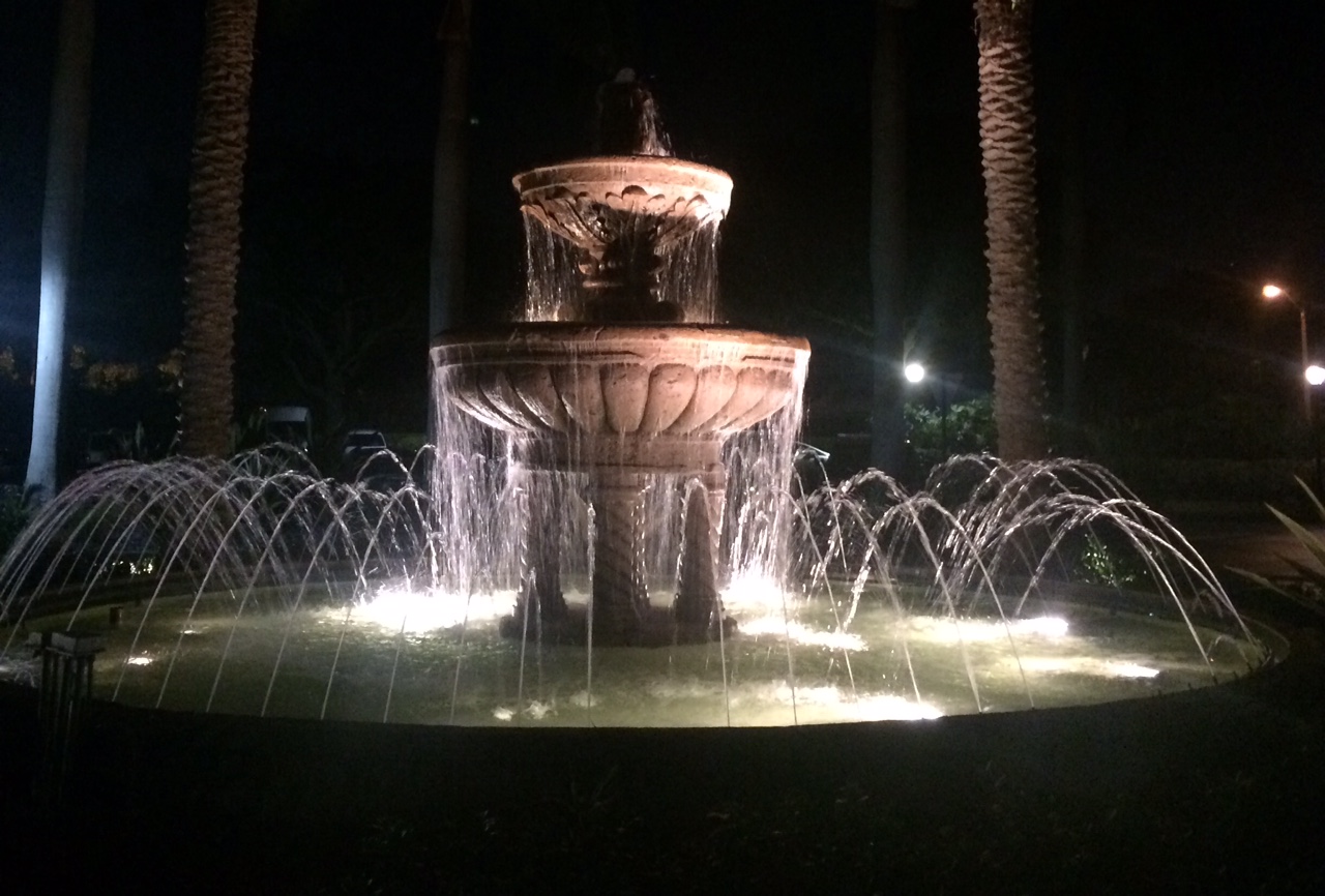 Walnut Creek RE1 pembrokepines