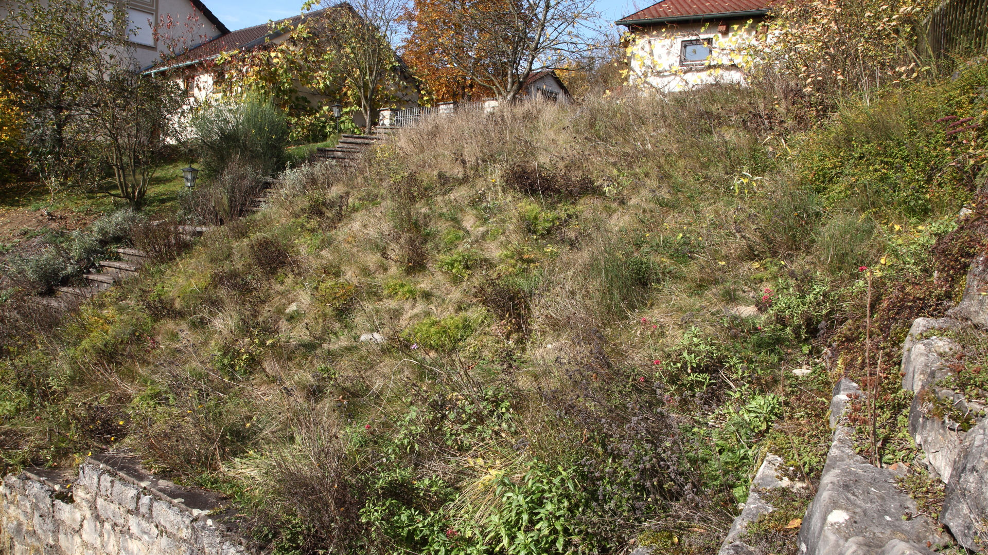 Insektenfreundlicher Garten