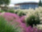 Rosengarten im Erfurter ega Park