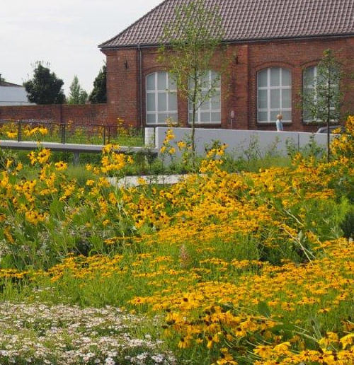 Firmengelände regiocom Magdeburg