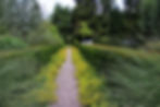 Garten von Peter Jahnke in Hilden