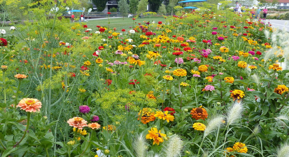 LAGA Schmalkalden 2015