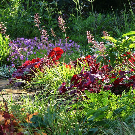 GRÄBER BEPFLANZEN - SCHÖNHEIT UND VIELFALT AUF KLEINSTEM RAUM