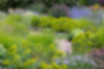 Einfassungsgruppen aus hoher Fetthenne Sedum telephium und der Steppenwolfsmilch Euphorbia seguieriana ssp. niciciana