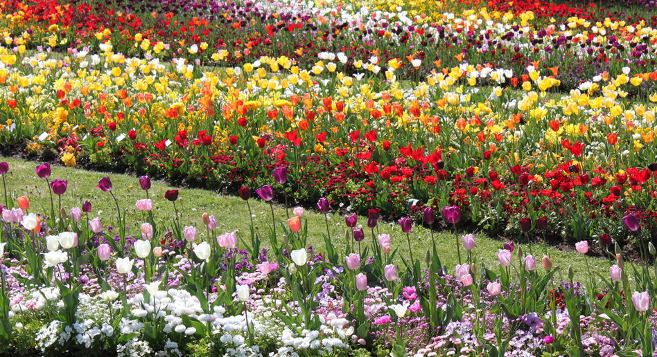 Landesgartenschau Kremsmünster (Österreich) 2017