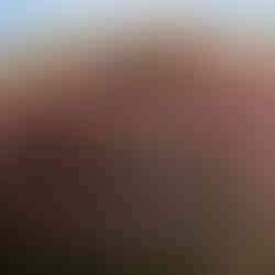 Rhododendron in Asien