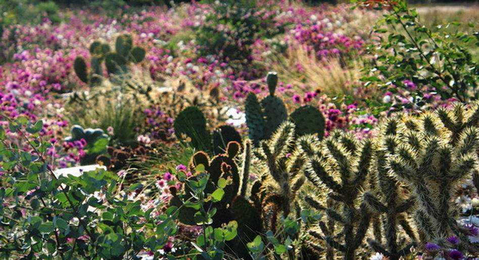 Landesgartenschau Würzburg 2018