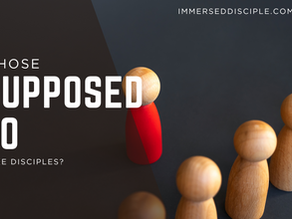 Whose Responsible for Making Disciples? - Pastor's or EVERYONE?