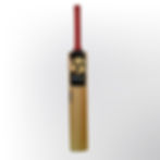 RAIJIN's Storm Tennis bat, which has handles in red and black.