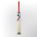 RAIJIN Hitman Kashmiri Willow Tennis Bat with red and white handles.