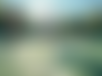 Expert Coaching at Summer Tennis Champs for Kids