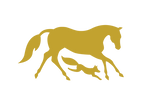 SFR Legacy Horse and Fox logo