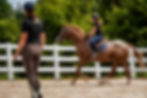SFR-Equestrian-WebBanner-Home-AllAges.jpg