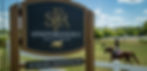 IMG_9401_CROPPED_BANNER.jpg
