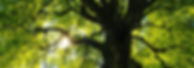 nsplsh_344f68465a534154337377_mv2_d_4867_2946_s_4_2.jpg