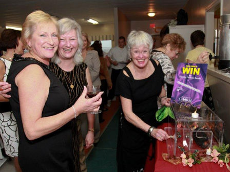 The 2010 Spring Gala 