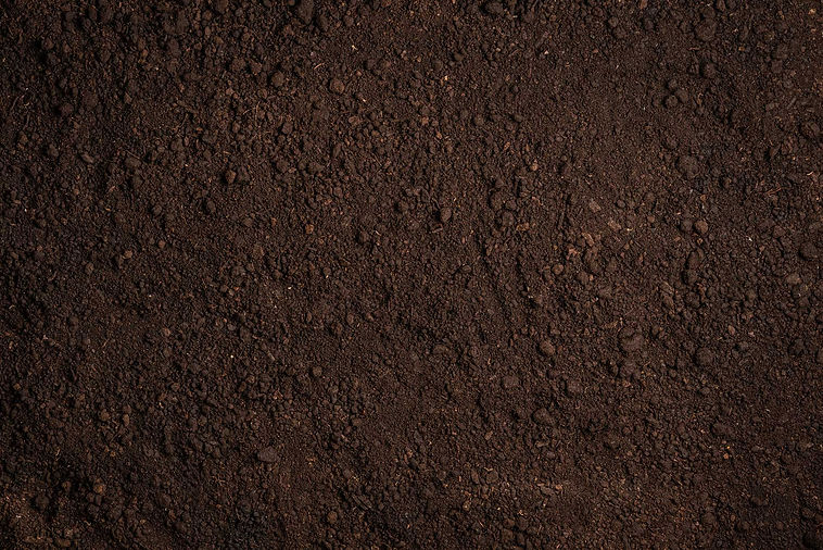 BAT-1674128921-Small.jpg