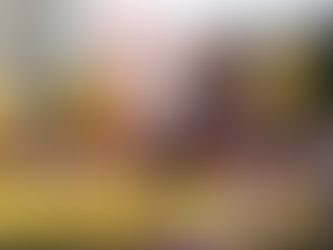 Mulheres da moradia e direitos humanos