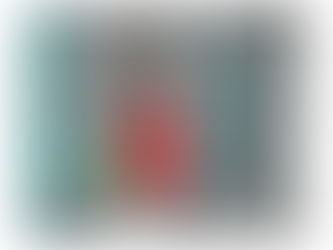 Proyecto Fincas Abandonadas