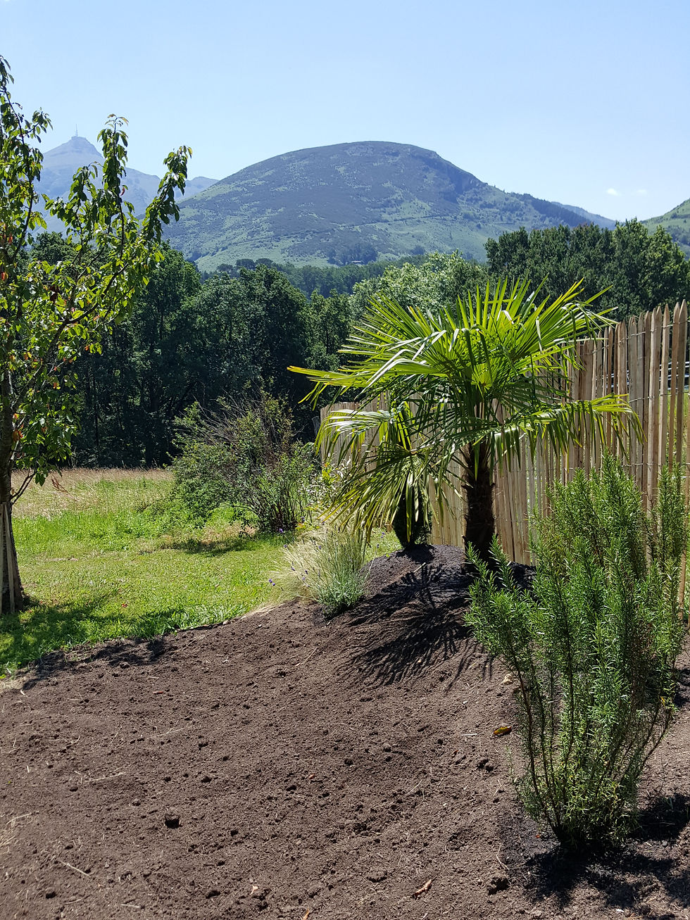lesjardinsderoy-jardinier-paysagiste-cot