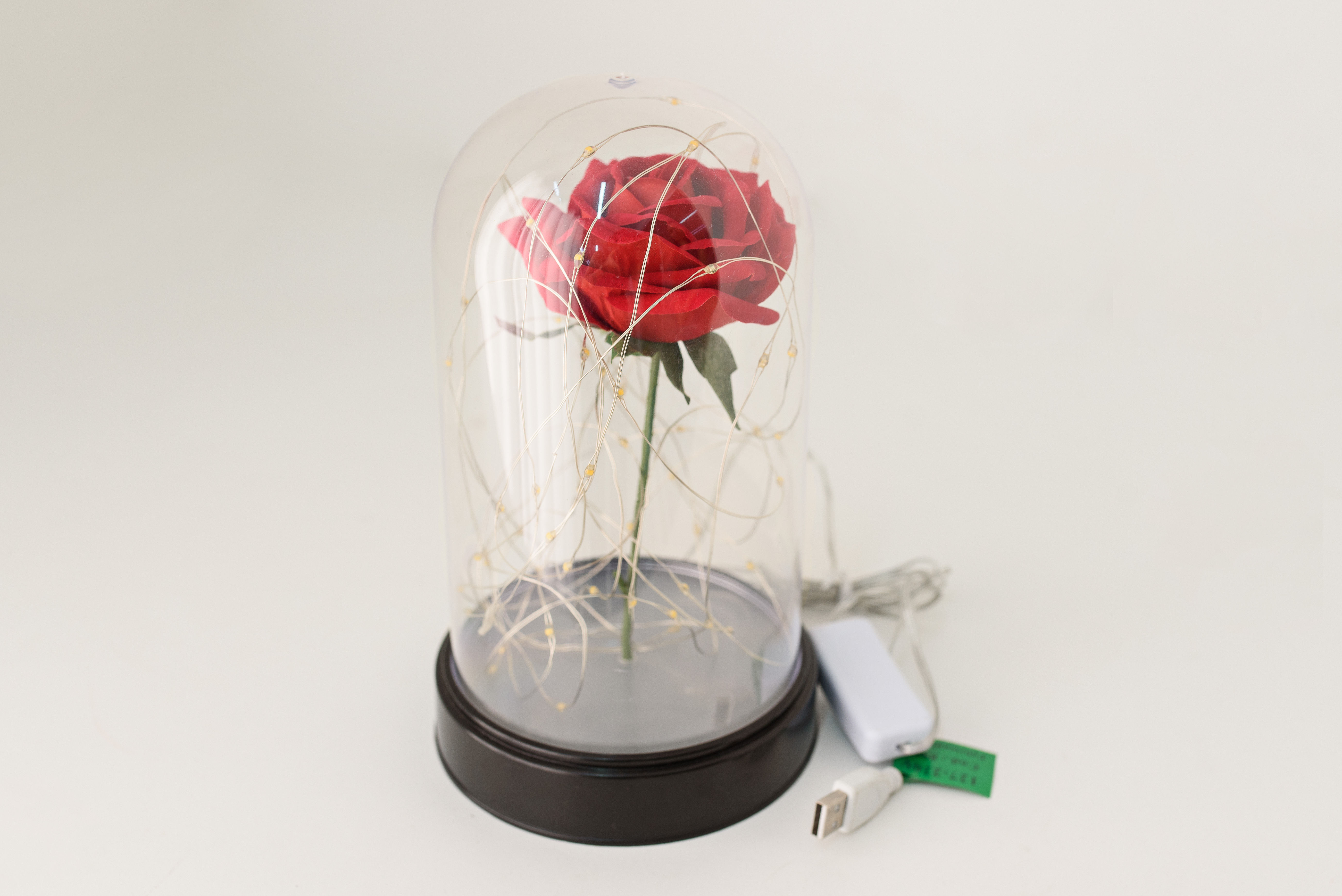 Cúpula Bela e a Fera