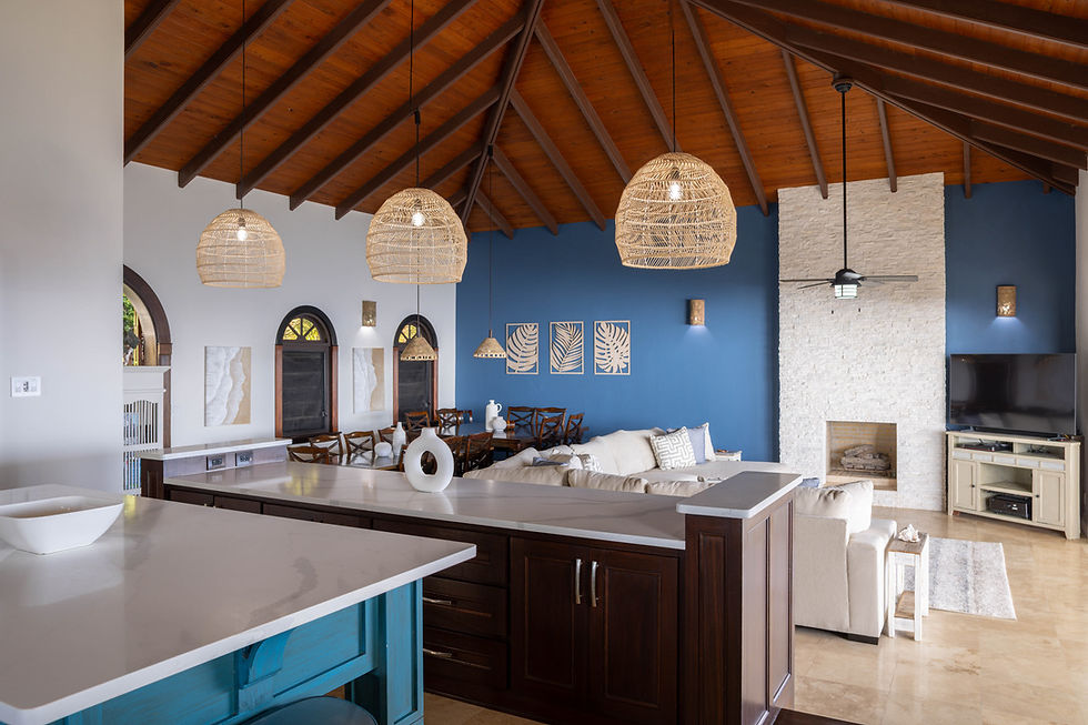 Open Kitchen Living Dinig