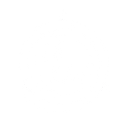 Logo vectorizado naranja_Mesa de trabajo