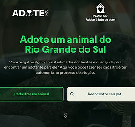 ONGS CRITICAM INTENÇÃO DE RS PAGAR POR ADOÇÃO DE ANIMAIS