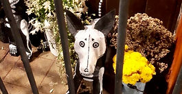 Homenagem pet no dia de los muertos / Imagem: Patrícia Vidal