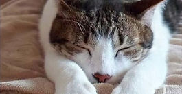 Yeshi desperta ensinamentos. (Foto: arquivo pessoal)