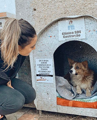 Bruna Uncini já conseguiu instalar 241 casinhas feitas a base de embalagem reciclada. Imagem: reprodução