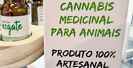 CANNABIS MEDICINAL AVANÇA CONTRA PRECONCEITO E SE CONSOLIDA COMO TRATAMENTO VETERINÁRIO