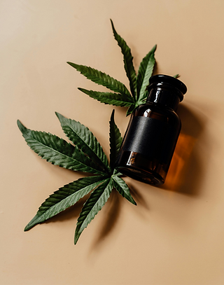 Óleo de Cannabis Sativa L. usado de cachorro a peixe, de leão a tucano. / Imagem: Pexel