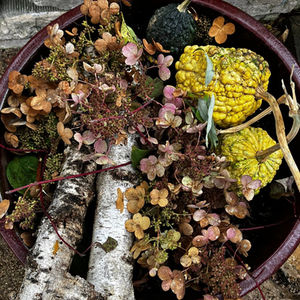 Rustic Autumn Decor