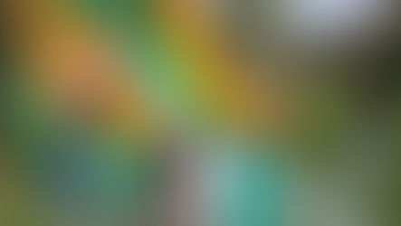 Låt barnen komma till Jesus