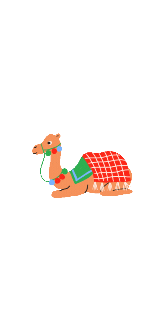 Lukasgatan julkalendern kamel